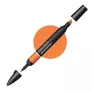 Promarker Winsor & Newton Spice O346
